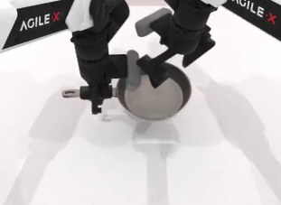 Robot initial-state perturbed view